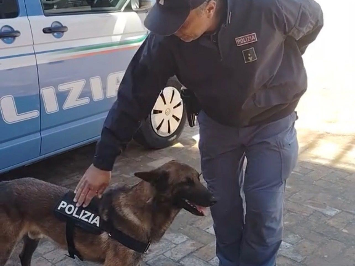 San Pietro a Patierno, il cane Evan fiuta una centrale dello spaccio di droga: un arresto