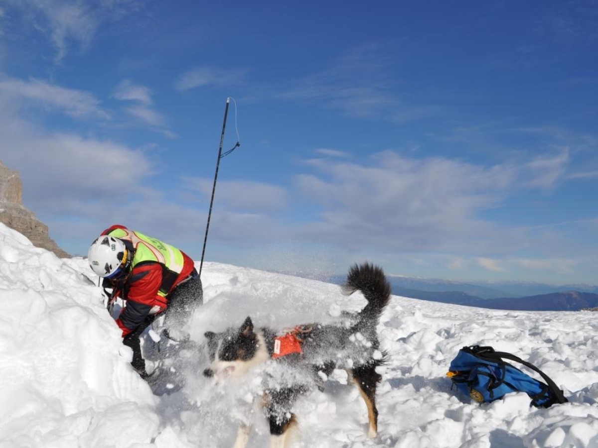 Valanga in Valdidentro, morti 2 scialpinisti: una donna di 28 anni e un uomo di 33. ?Sotto i loro piedi si è staccato un cornicione di neve Valanga in Valdidentro, morti 2 scialpinisti: una donna di 28 anni e un uomo di 33. ?Sotto i loro piedi si è staccato un cornicione di neve