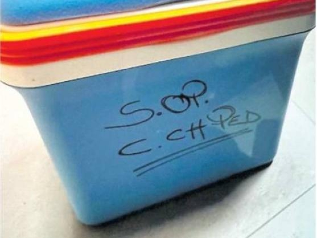 il cuore per domenico trasportato in un box simile a quello per refrigerare gli alimenti in dotazione al monaldi dagli anni ottanta