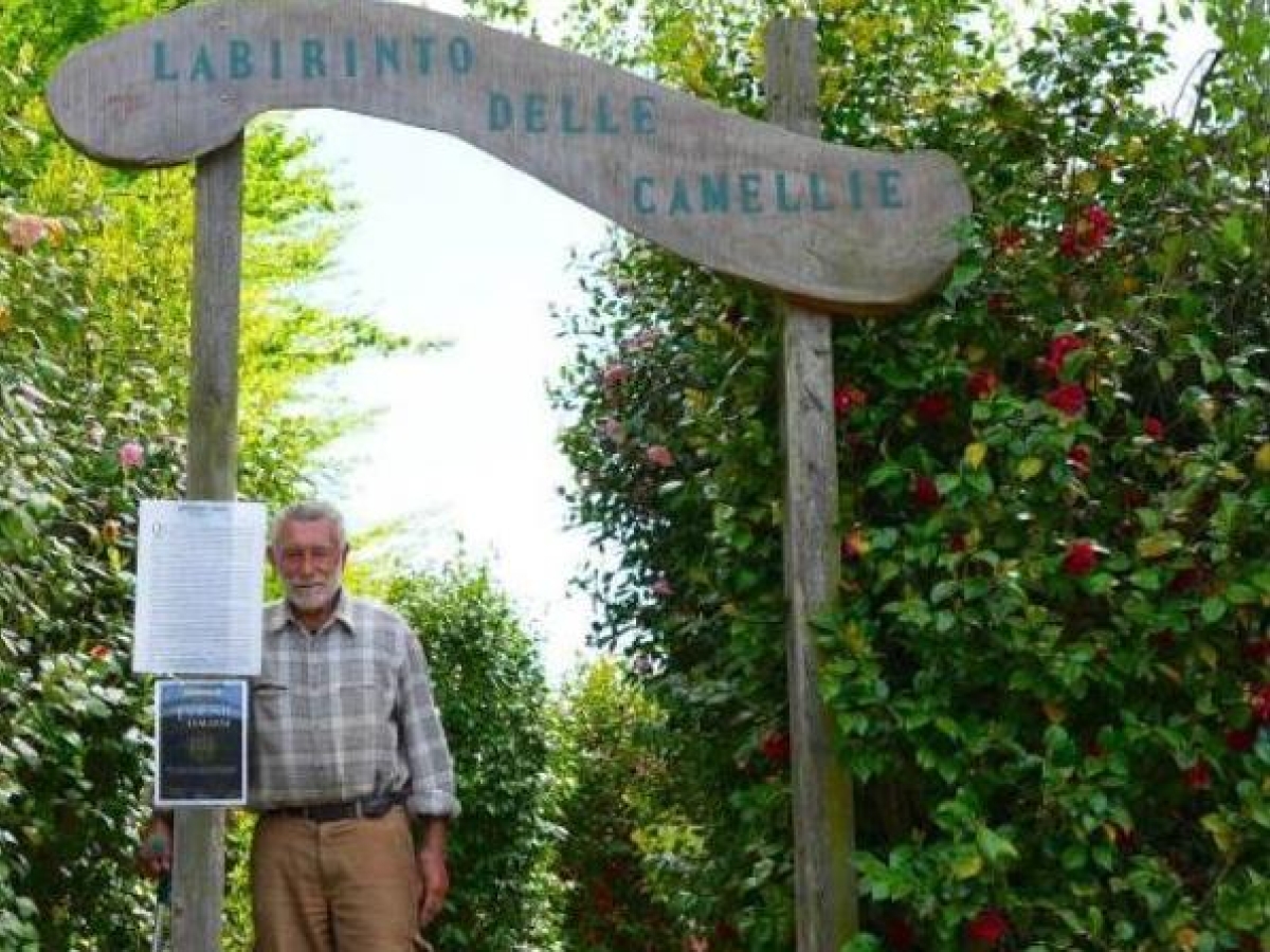 Le 15 domande di Natale: il Questionario dell'Avvento per ragazzi