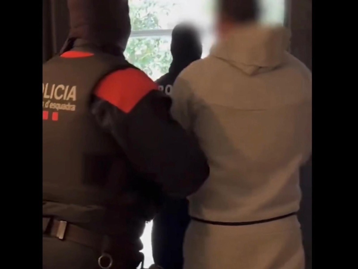 La cocaina viaggiava dalla Spagna all'Italia tra cassette di frutta e gabbie di polli: 10 arresti, sequestrati 140 mila euro in contanti e droga