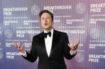 Elon Musk, ceo di Tesla