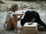 Jane Goodall, la donna che scopr la vita segreta degli scimpanz e cambi anche gli umani