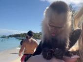 Francesco Totti e la crociera ai Caraibi con Noemi Bocchi e i figli: Chanel con una scimmietta in spiaggia
