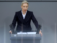 Germaniail tribunale dà ragione all'AfD: «Non può essere definito un partito estremista di destra»