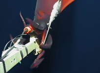 Raro calamaro di acque profonde filmato mentre tenta di inghiottire la telecamera