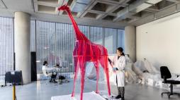 Milano, la «Giraffa Artificiale» approda al Mudec: un viaggio lungo cinquant'anni