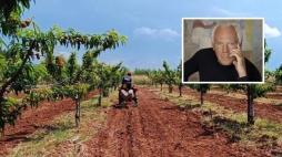 Armani produrrà in Puglia il nuovo cotone ecosostenibile per i suoi capi: l'annuncio in un tweet