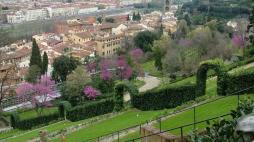 Firenze, a Villa Bardini navetta elettrica gratis per visita del giardino