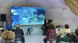 Trastevere, torna «Pesce in piazza»: tre giorni per promuovere il consumo consapevole