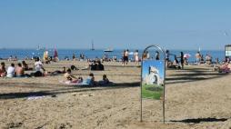 Turismo in Riviera, l'entusiasmo degli albergatori: «Ci arrivano già richieste di camere per luglio»