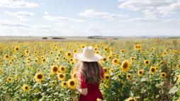 Beautiful young woman in red dress and a straw hat is standing against a yellow field of sunflowers. Summer time, cottagecore concept. Back view.