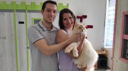 Elisa e il suo «hotel a 5 stelle» per i gatti: «Ho trasformato il mio sogno di bambina in una startup»
