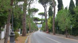 Viale Torricelli a Firenze, l'eco del fisico tra pini e cespugli di firenze capitale