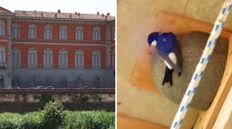 Firenze, nidi artificiali per i balestrucci su Palazzo Serristori: il restauro all'avanguardia (primo in Europa)