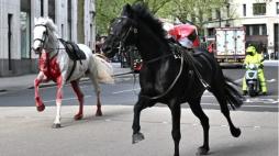 Londra, cinque feriti vicino a Buckingham Palace. Misterioso scontro tra cavalli della Household Cavalry e un veicolo