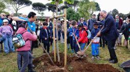Villa Pamphilij, 80 nuovi alberi della pace piantati dal Comune con la Fao