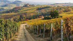Beautiful autumnal landscape with the Castello della Volta, in the langhe region of Piedmont, Italy