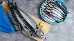 Il pesce azzurro salva vite e Pianeta: 750mila decessi all'anno evitati se fosse scelto al posto della carne rossa 