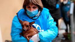 Leidaa: l’appello per aiutare l’associazione a salvare cani e gatti dall’abbandono