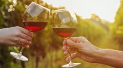 Una fine settimana tra le vigne, festeggiando con i produttori di vino