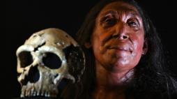 Quanto Dna di Neanderthal c'è in noi? Meno di quanto dovrebbe (e perché lo abbiamo cancellato)