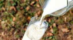 «World Milk Day», 5 ricette pop per celebrare la giornata mondiale del latte