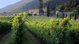 Val Calepio in Cittadella: tre giorni tra vino, degustazioni e prodotti tipici
