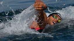 Gregorio Paltrinieri vince l'oro nella 10 km degli Europei di nuoto di fondo a Belgrado. Acerenza quarto