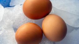 Le uova si possono congelare? I consigli dell’esperto