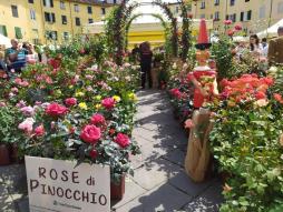 Lucca in fiore: torna la fiera dedicata a Santa Zita