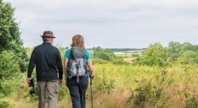A piedi tra i boschi: in Gran Bretagna  l’escursionismo nelle foreste  è molto popolare