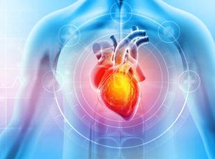 Cardiopatia aritmogena, una nuova speranza di cura dalla terapia genica