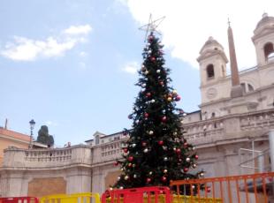 Roma, a piazza di Spagna spunta un albero di Natale: via le azalee per le riprese di un cine-panettone. Turisti stupefatti