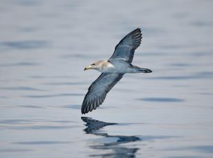 Rete Natura 2000, l'alleanza europea degli habitat e delle aree protette. «Qui salviamo specie a rischio e biodiversità, anche i turisti ci aiutino»