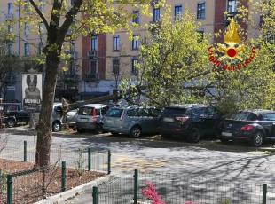 Vento forte a Milano, albero cade sulle auto in via Tiraboschi. E a Monza chiude la Villa Reale