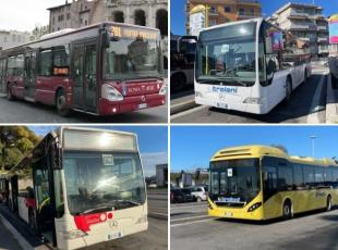 Mancano i bus, linee affidate ai privati: ecco la flotta arcobaleno di Roma