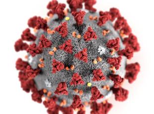 Il virus Sars-CoV-2 (Epa)