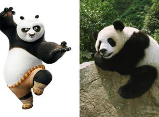 Kung Fu Panda 4, il Wwf: «Gli animali protagonisti sono a rischio nel mondo reale»