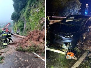Como, statale Regina chiusa tra Colonno e Argegno per la caduta di un albero: colpita un'auto, illeso il conducente 