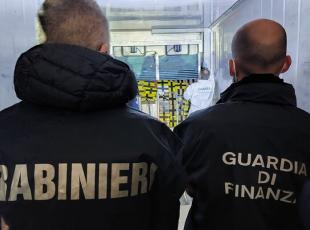 Il porto di Salerno si conferma crocevia della droga: 15 arresti tra Campania e Calabria
