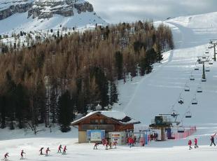 Cortina mette la neve in «frigorifero» «Così piste aperte già da novembre» Snowfarming con teli e segatura: l’esempio di Livigno