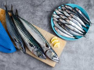 Il pesce azzurro salva vite e Pianeta: 750mila decessi all'anno evitati se fosse scelto al posto della carne rossa 