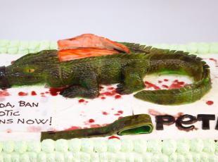 «No alle pelli esotiche»: Peta invia a Prada una torta di compleanno 