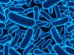 L'antibiotico-resistenza causa quasi 5 milioni di morti ogni anno: l'allame degli esperti su Lancet