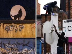 Banksy, spunta la quarta opera ma viene subito «rubata»: è un lupo che ulula alla luna