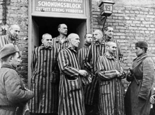 Il gas Zyklon B, i denti d'oro, i topi: cosa succedeva ad Auschwitz, la «più immensa macchina della morte mai allestita»