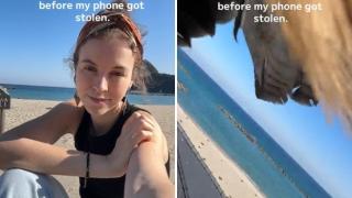 «Ripresa dal drone gratis»: un uccello ruba il telefono a una ragazza mentre sta girando un video