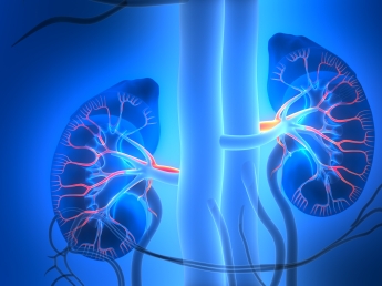 Tumore del renenumeri in aumento: quasi la metà è dovuta al fumo. La malattia viene spesso scoperta «per caso»