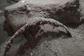 Scavi Pompei, ritrovato un carro con decori a tema erotico: «Salvato dai tombaroli»